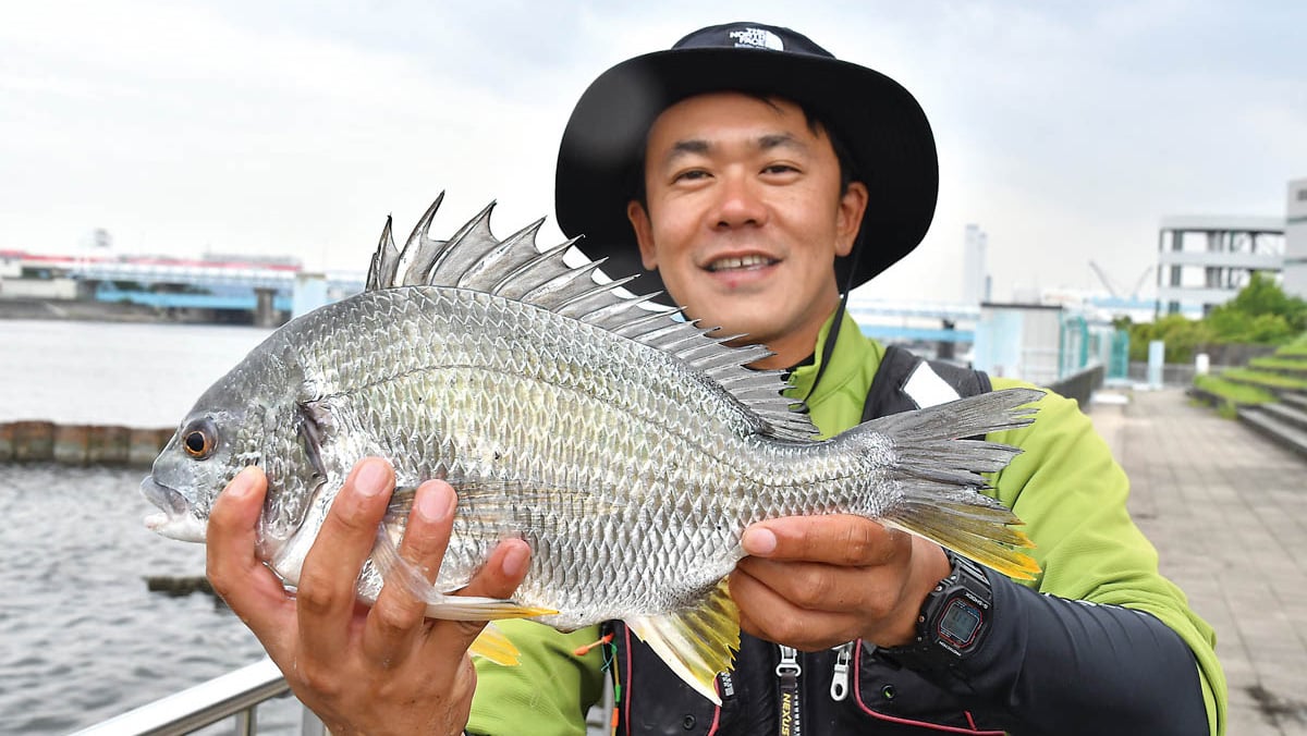 鋭い引きを楽しもう！キビレ投げ釣り入門 その1（全3回） | 全国おすすめ釣り場